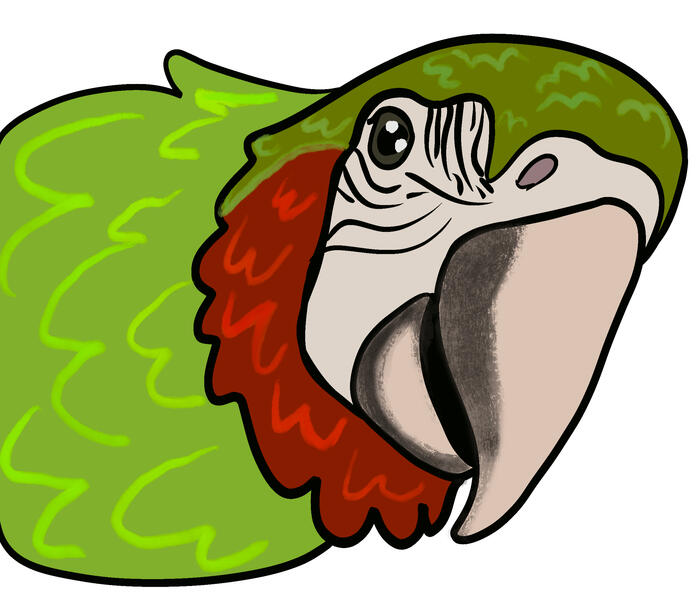 Forest Sticker WIP