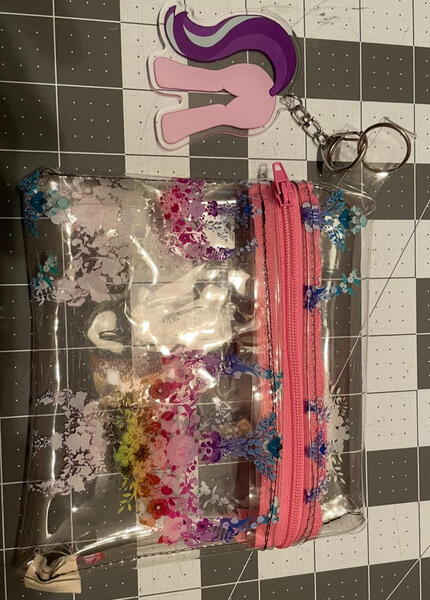 Clear pouch