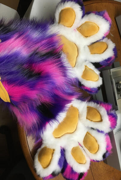 Furry Paws