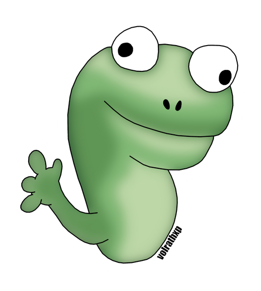 Tom Lizard